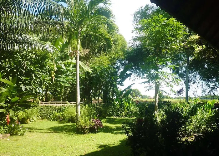 Saraswati House Lovina