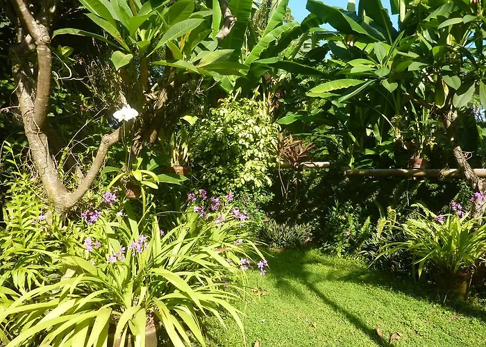 Gasthuis Saraswati House 3*